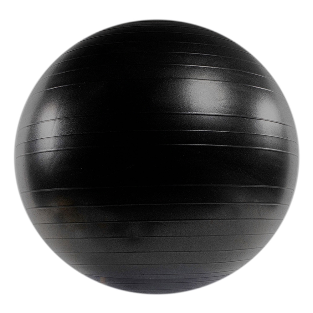 Magistraat Skim kiezen Versa Ball Stability Ball | Power Systems